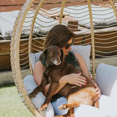 Hotel Wabi - Beauty & Dental Center